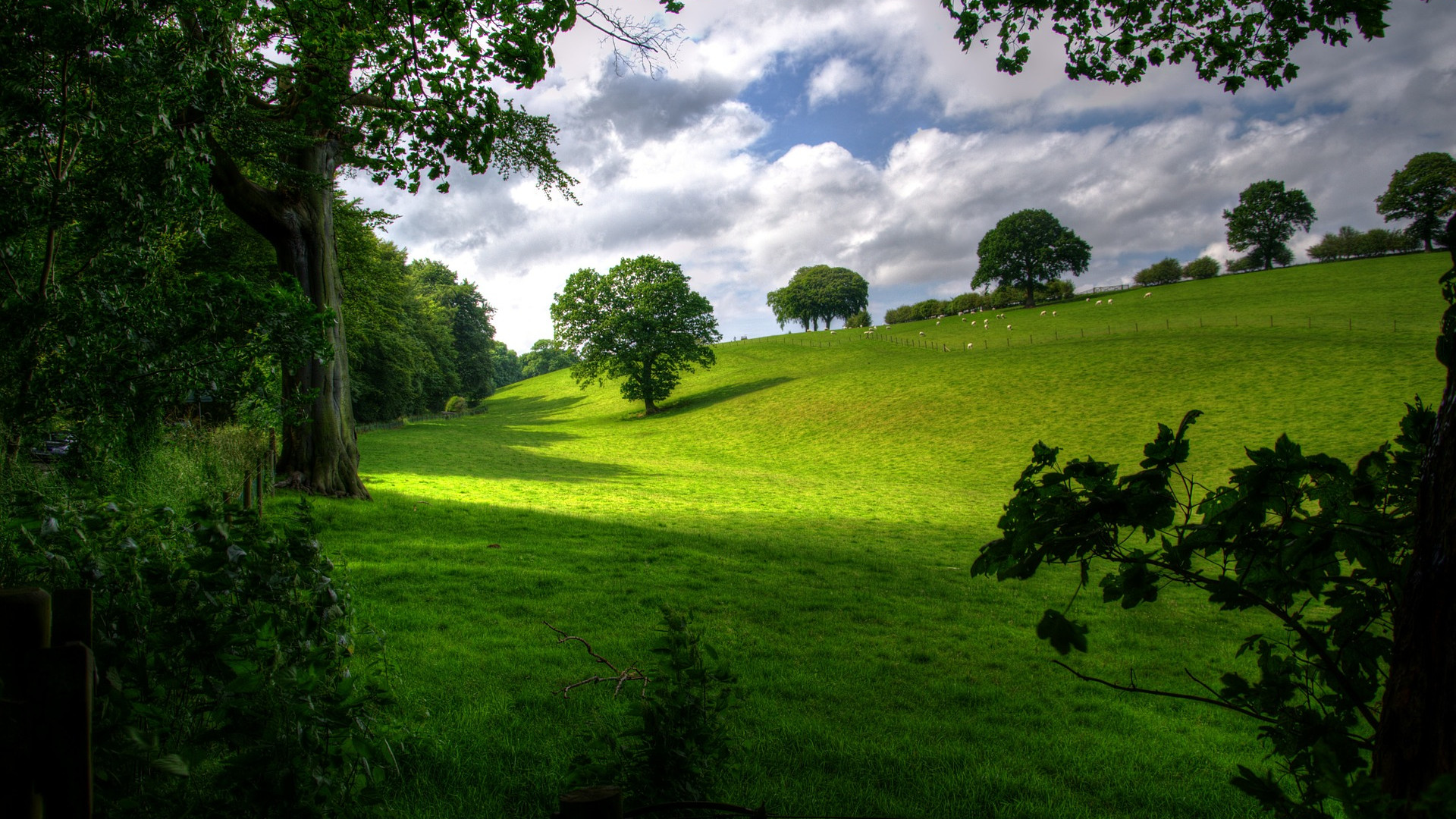 <h2>Excavations of Gaelic Ireland</h2><p>This module assembles data related to Gaelic settlement in Ireland, including excavation reports, landscape surveys, and aerial and satellite coverages.</p><a href='#' class='btn'>Read more</a>